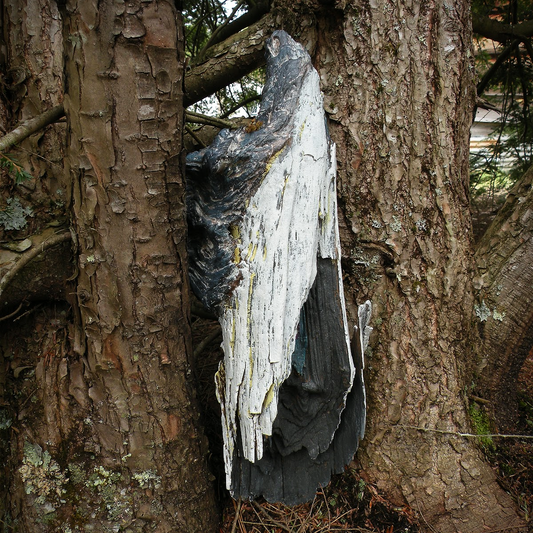 River Wood Fairy House 3