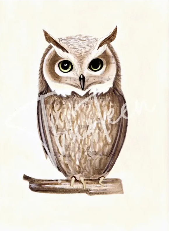 "Whooo" Decoupage Rice Paper - Large Sized