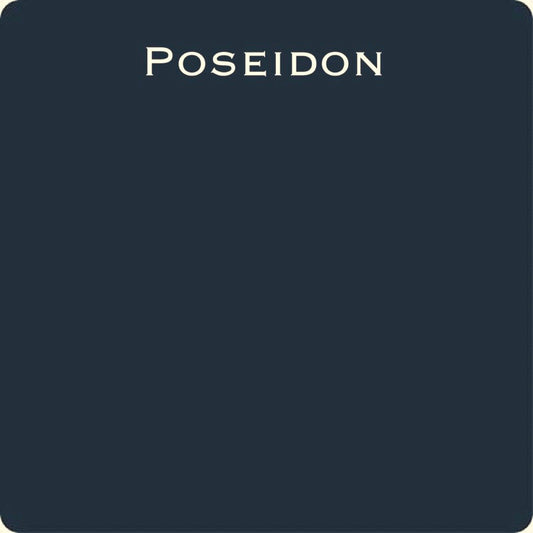 Wise Owl One Hour Enamel - Poseidon