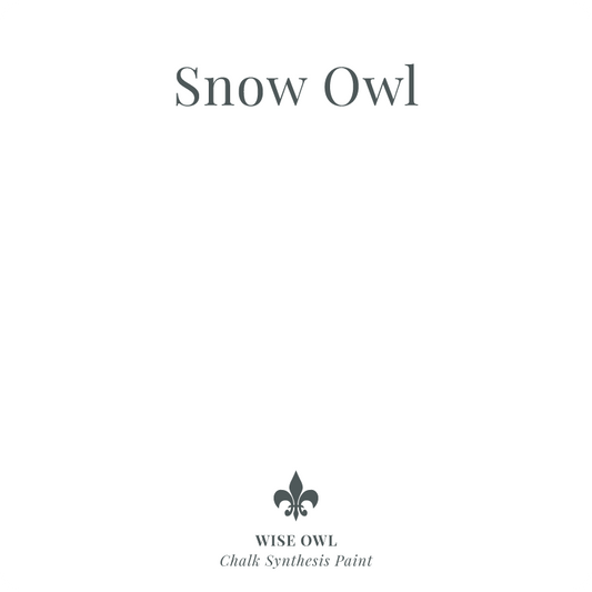 Wise Owl One Hour Enamel - Snow Owl