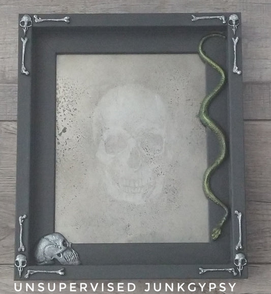 Skull with snake frame